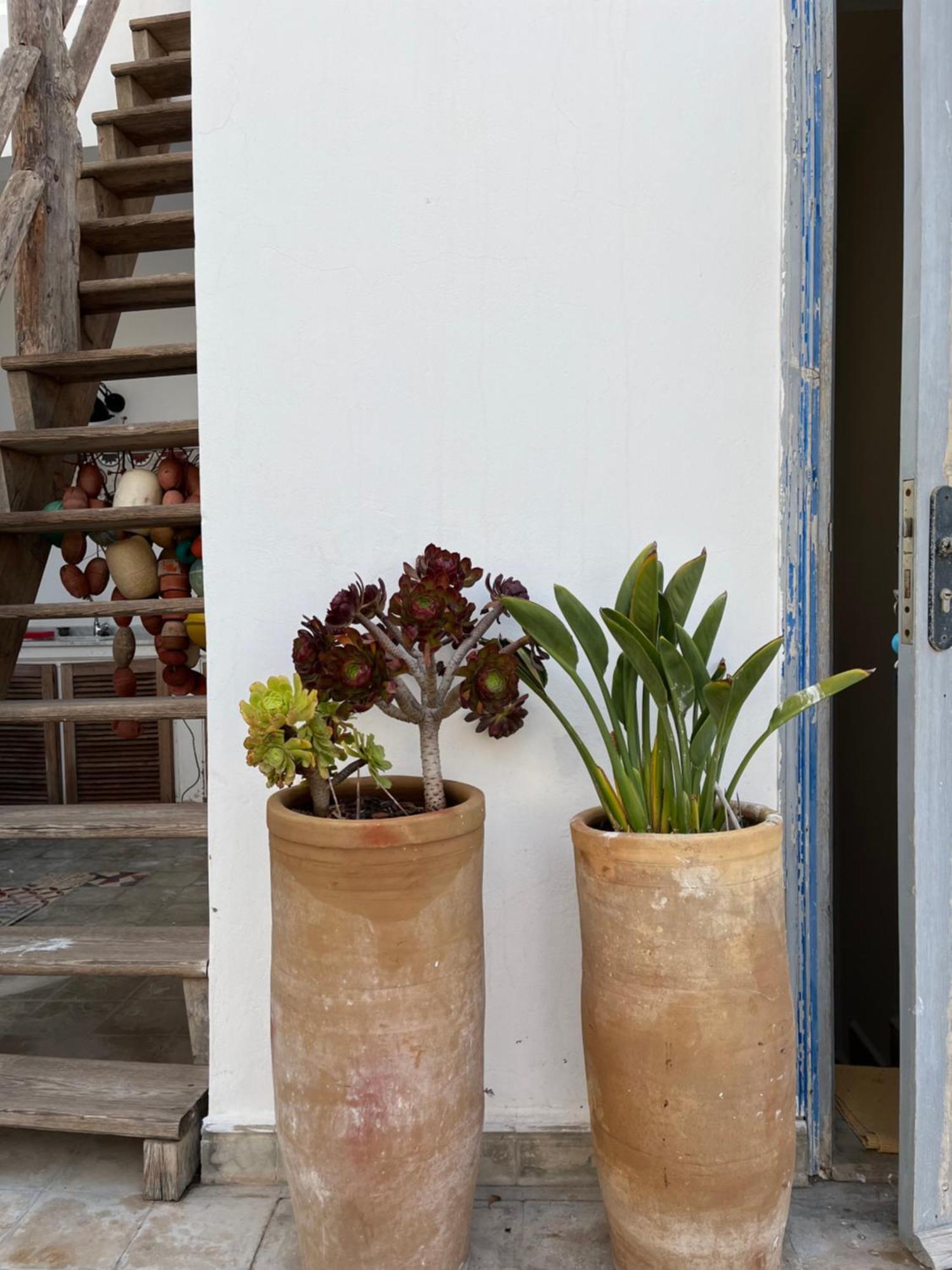 Dar Maha Medina Apartment Essaouira Ngoại thất bức ảnh